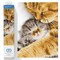 Diamond Dotz Tender Moment Cats Diamond Painting Kits for Adults - Diamond Art Kits a Relaxing Creative Craft Kit with Dotz Gems 16x11.8